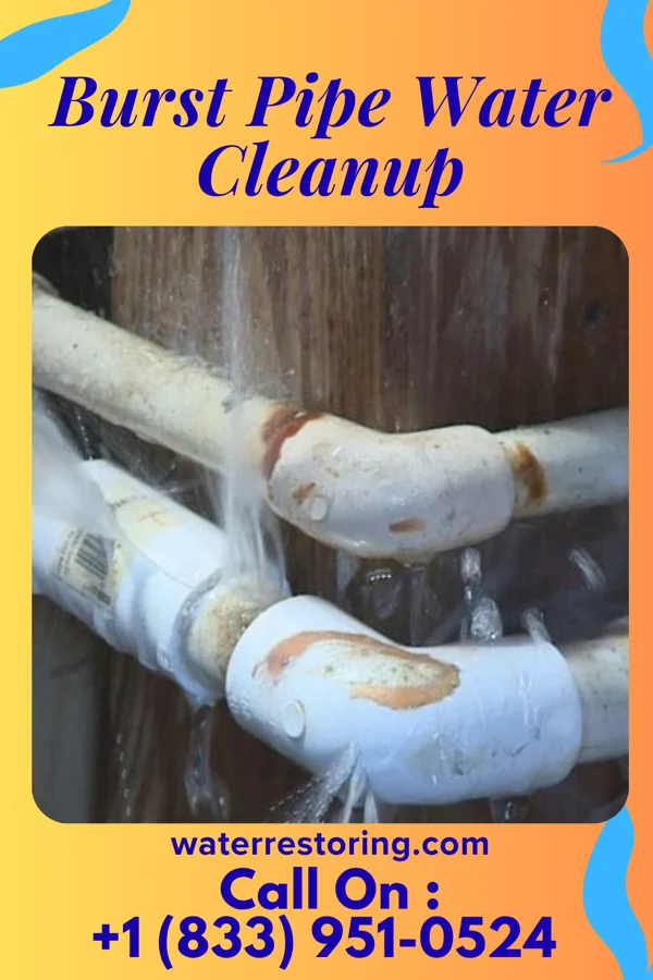 Burst Pipe Water Cleanup in Duvall, WA