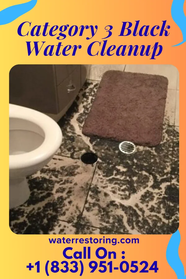 Category 3 Black Water Cleanup in Duvall, WA