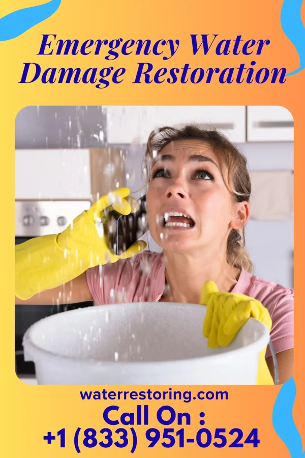 Emergency Water Damage Restoration in Duvall, WA