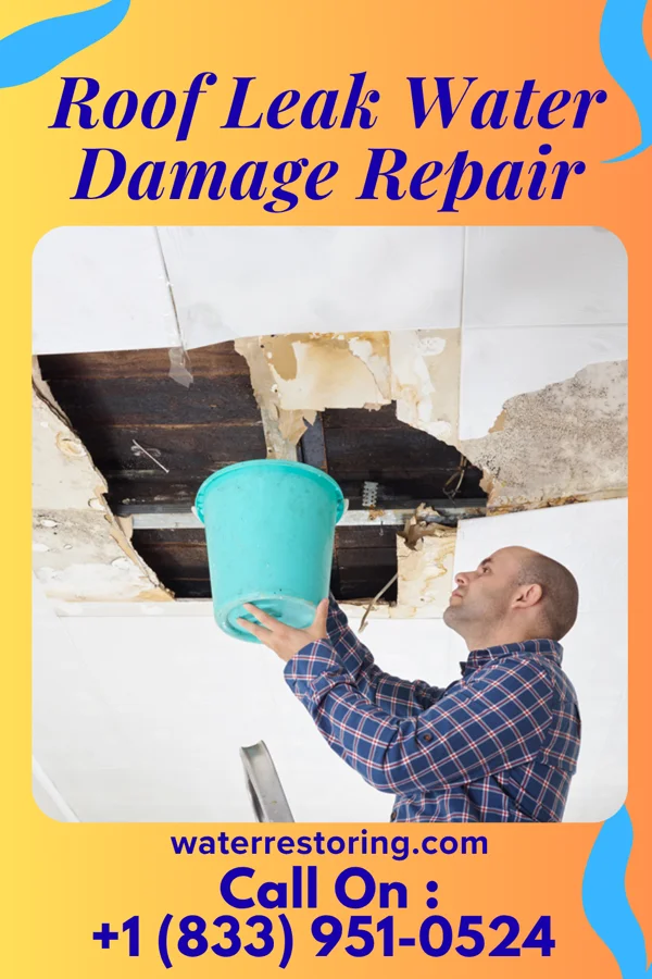 Roof Leak Water Damage Repair in Duvall, WA